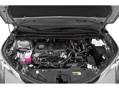 2023 Toyota Sienna Platinum 7 Passenger