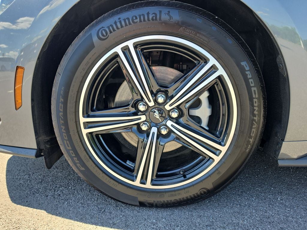 2025 Ford Mustang EcoBoost