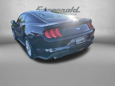 2021 Ford Mustang EcoBoost